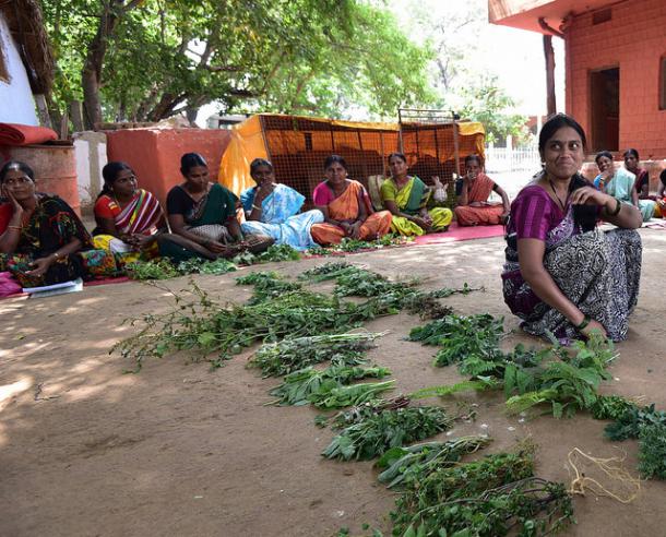Seeding an Agrarian Revolution in Rural India